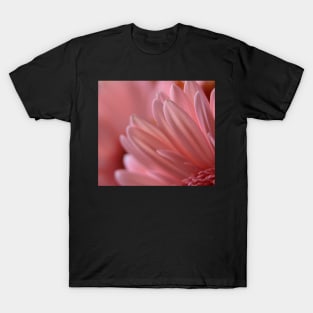 Petals Pink T-Shirt